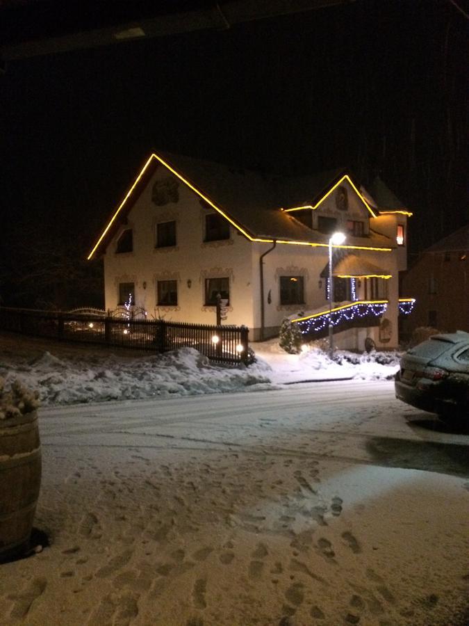 Hotel Alpenhof Markneukirchen Dış mekan fotoğraf
